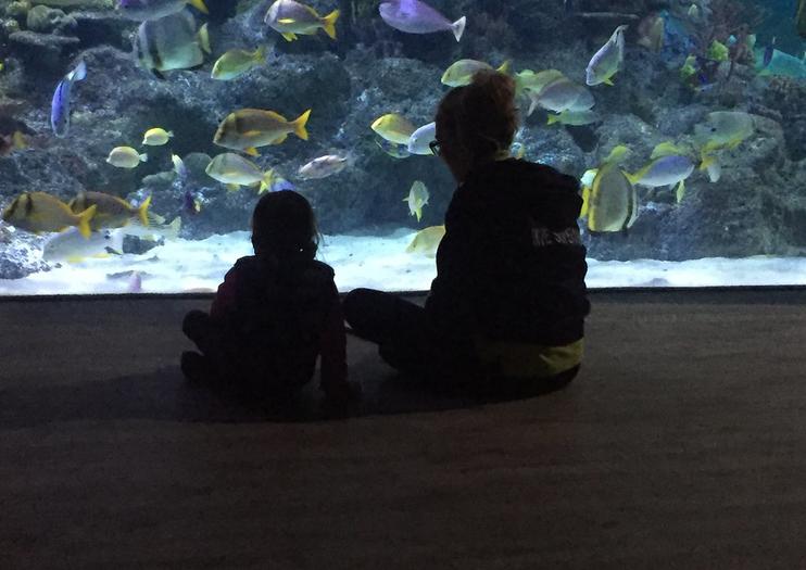 Skegness Aquarium